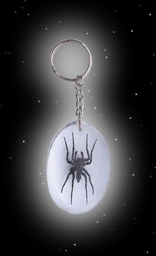50-054-spinne-schluesselanhaenger-nordwelt-versand