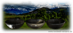 Hornschale Schalen aus echtem Horn Wikinger Mittelalter- Reenactment, LARP 