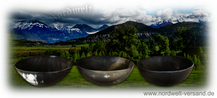 Hornschale Schalen aus echtem Horn Wikinger Mittelalter- Reenactment, LARP 