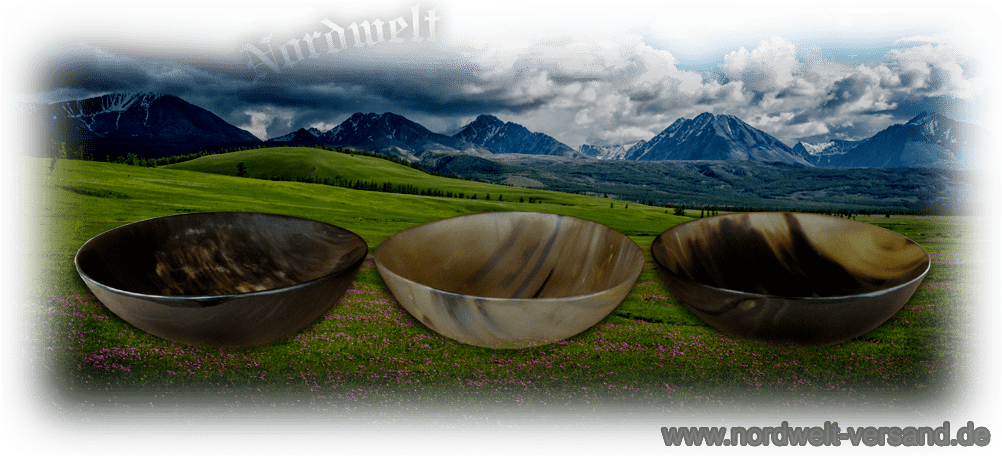 Schale aus Horn Hornschale Hornware Naturschalen Suppenschale Wikinger Mittelalter Reenactment LARP