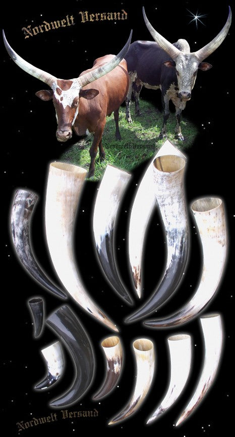Trinkhörner aus echtem Horn Methorn