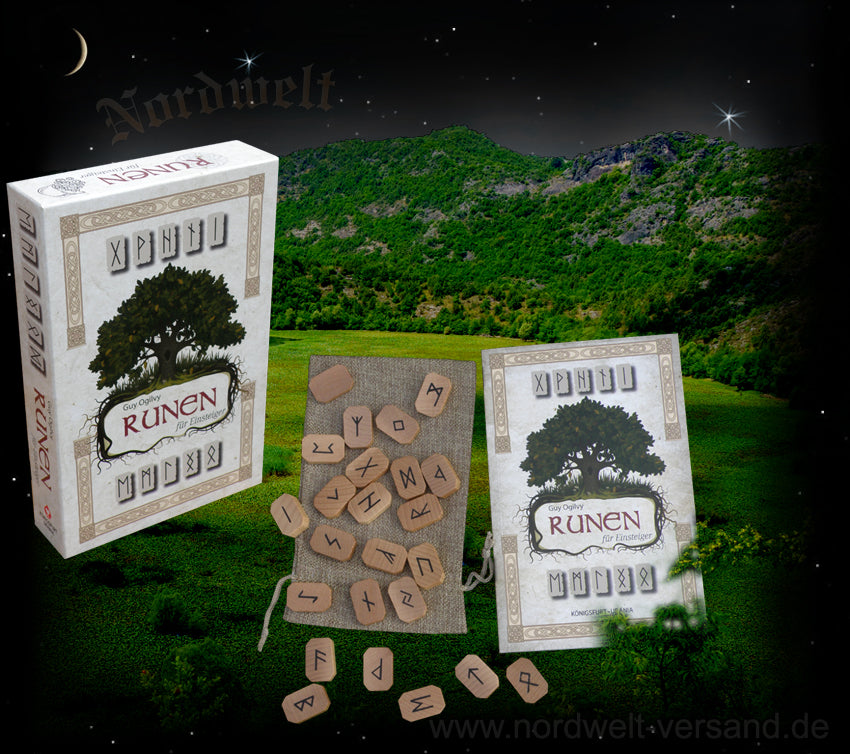 Runen für Einsteiger 24er Futhark aus Holz mit Begleitbuch Magie Runensteine lernen 