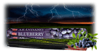 Räucherstäbchen Blaubeere / Heidelbeere Blaubeer- Duft räuchern Blueberry HEM