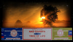 Räucherstäbchen Incense sticks Lebensbaum Tree of Life Baum des Lebens