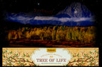 Räucherstäbchen Lebensbaum "Tree of Life Masala" räuchern, Tulasi