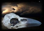 Dose Rabenschädel Schmuckdose aus Polyresin Skull Geheimnis Aufbewahrer 