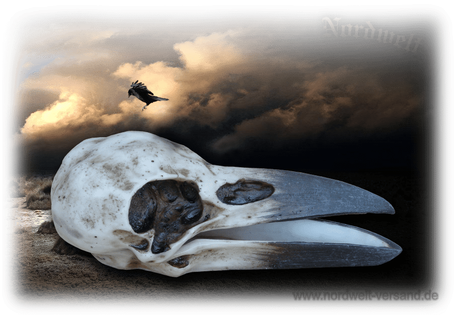 Dose Raben-Schädel Schmuckdose aus Polyresin Skull