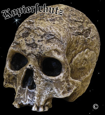 Totenschädel Skull Totenkopf Polyresin Schädel nachempfunden 