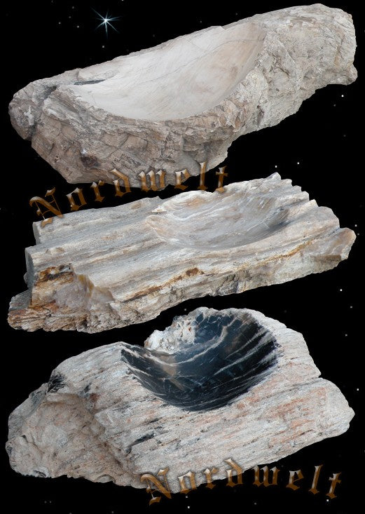 Schale aus versteinertem Holz viele Millionen Jahre alt. 