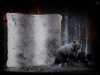 Grizzly Webpelzkissen Bär Fellkissen Fellimitat Kunstpelz Webpelz Bärenkissen Bärfelkissen Kunstfell