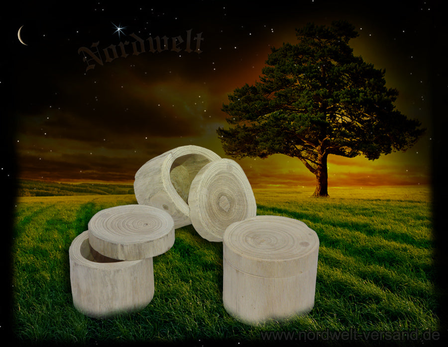 Mittelalterliche Holzdose Cache Dose, Nanocache und Geocaching, Geschenkdose aus Holz
