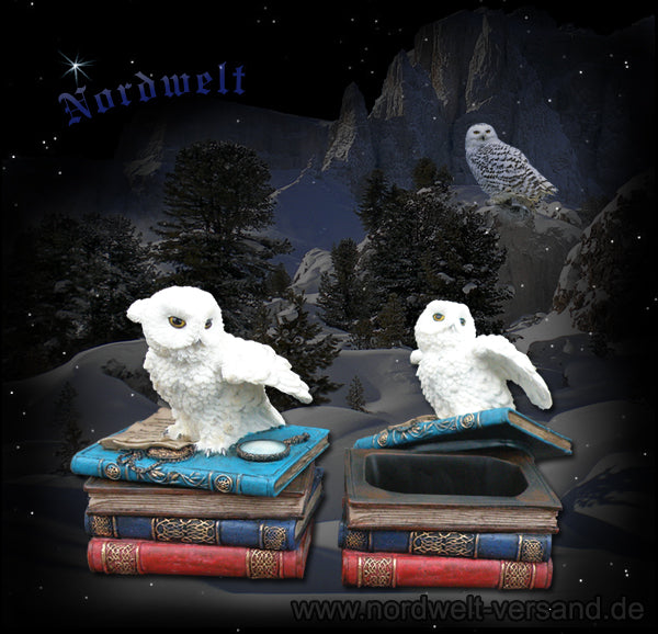Schuckdose mit Eule Schneeeule und Bücher Polyresin Schmuckkästchen